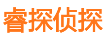 大武口调查公司